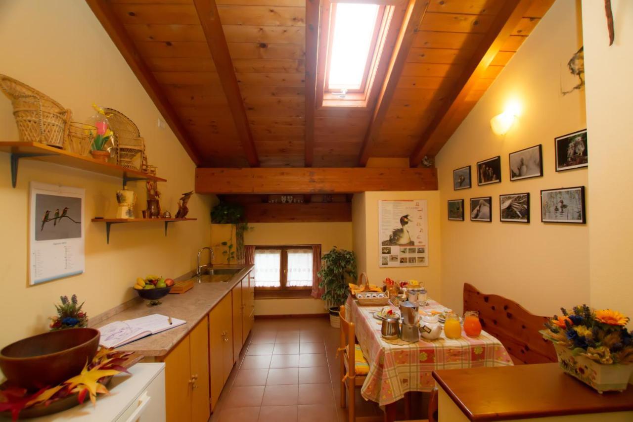 Guest House Il Nido Dello Svasso -Foresteria Lombarda- Sorico Exterior photo
